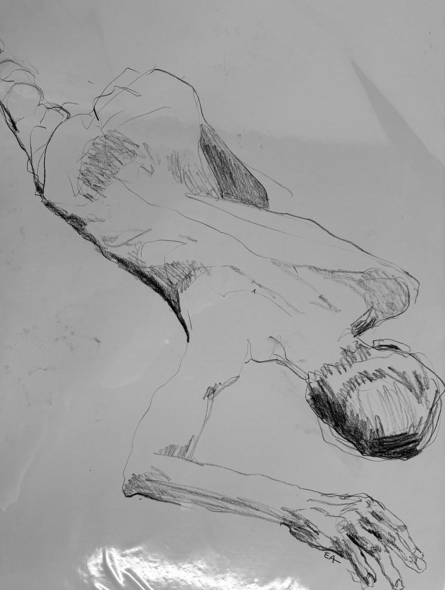 No. 29